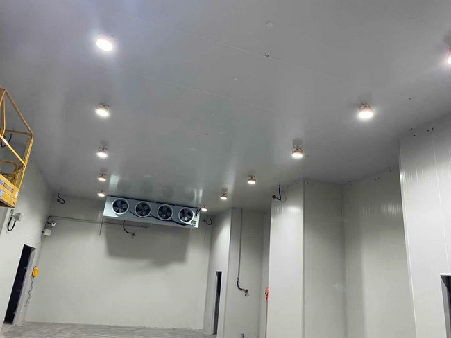 建個存放10噸貨物的冷庫大概需要多少錢？